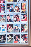 NASCAR Legendary Drivers Portrait Collage, Custom Framed - Roadshow Collectibles