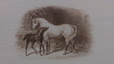 White Horse and Black Colt Engraved Printers Proof, Matte Framed - Roadshow Collectibles