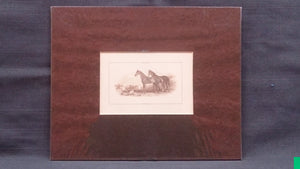 Black Stallion and Mare Horse, Engraved Printers Proof, Matte Framed - Roadshow Collectibles