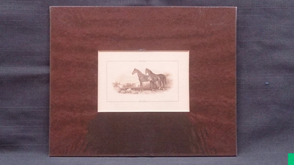 Black Stallion and Mare Horse, Engraved Printers Proof, Matte Framed - Roadshow Collectibles