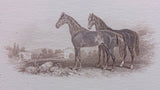 Black Stallion and Mare Horse, Engraved Printers Proof, Matte Framed - Roadshow Collectibles