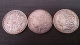 Morgan Silver Dollar 5 Piece Set, 1901 'O', 2-1921, 1921 'D', 1878 - Roadshow Collectibles