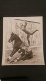 Photograph, Black and White, Circus Act, Trick Female Rider and Horse - Roadshow Collectibles