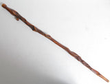 Walking Cane, Missouri Valley Walking Cane, Hand Carved Diamond Willow - Roadshow Collectibles
