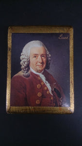 Decor Box, Portrait Carl Linnaeus, Swedish Naturalist & Explorer, 1753 - Roadshow Collectibles