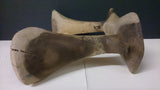 African Kenya Turkana Headrest, Hand Carved, Very Old - Roadshow Collectibles