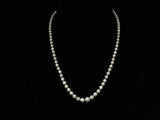 Pearl Necklace, Cream White Graduated Pearls, 14K White Gold Clasp - Roadshow Collectibles